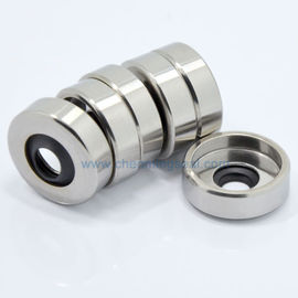 puty গুঁড়া mixers জন্য ডুয়াল PTFE ঠোঁটের স্টেইনলেস স্টীল হাউজিং সঙ্গে কাস্টমাইজড PTFE তেল করুক