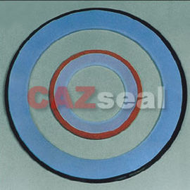 PTFE এনভেলাপ Gasket