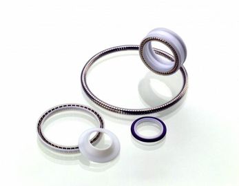 PTFE সীল, স্প্রিং কর্মশক্তি Teflon সীল, Teflon রোটারি সীল, PTFE স্ট্যাটিক সীল