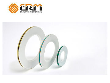 চক্রের উন্নত পার্শ্ব PTFE এনভেলাপ Gaskets